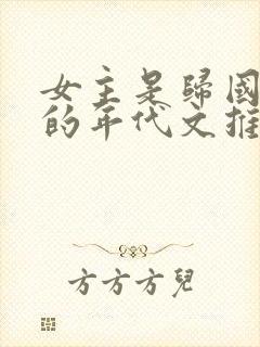 女主是归国华侨的年代文推荐封面