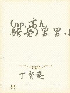 (np,高h,骚受)男男小说