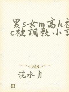 男s女m高h被c被调教小说