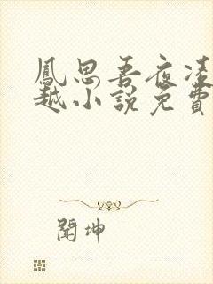 凤思吾夜凌寻穿越小说免费阅读封面