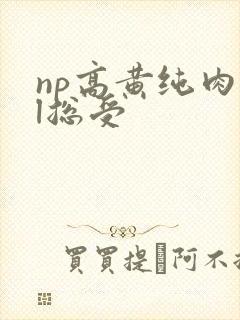 np高黄纯肉bl总受