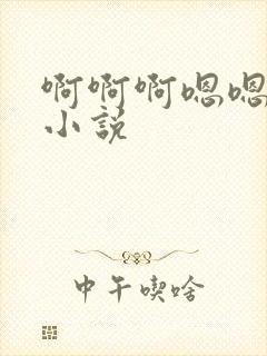 啊啊啊嗯嗯嗯h小说