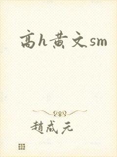 高h黄文sm