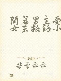 开篇男主受伤被女主救的小说封面