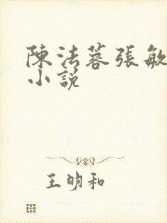 陈法蓉张敏陈红小说