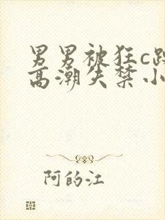 男男被狂c躁到高潮失禁小说