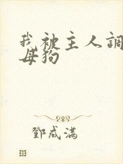 我被主人调教成母狗