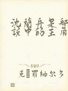 沈兰舟是哪部小说中的主角