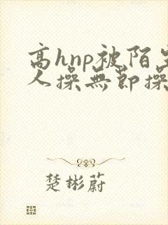 高hnp被陌生人操无节操小说