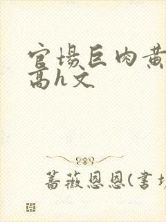 官场巨肉黄暴辣高h文