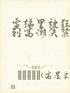 电梯里被狂c躁到高潮失禁