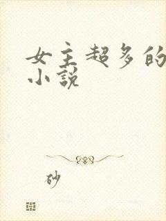 女主超多的后宫小说