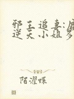 邪王追妻:废材逆天小姐多少字