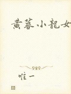 黄蓉小龙女h文