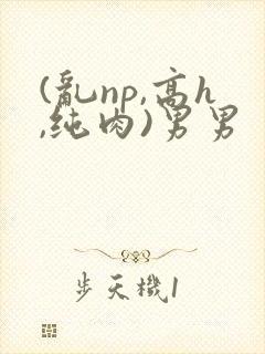(乱np,高h,纯肉)男男