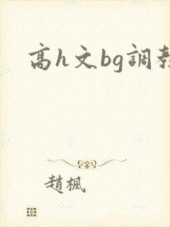 高h文bg调教