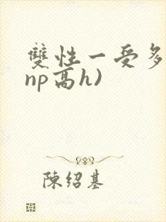 双性一受多攻(np高h)
