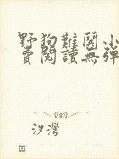 野狗难哄小说免费阅读无弹窗全文