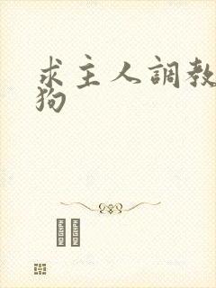 求主人调教骚母狗