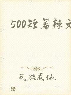 500短篇辣文
