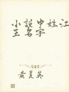 小说中姓江的女主名字