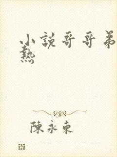 小说哥哥弟弟亲热