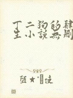丁二狗的肆意人生小说无删减