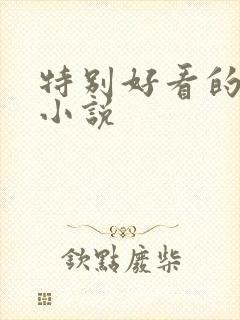 特别好看的穿越小说