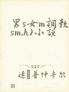 男s女m调教(sm,h)小说
