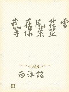 我在风花雪月里等你叶芷