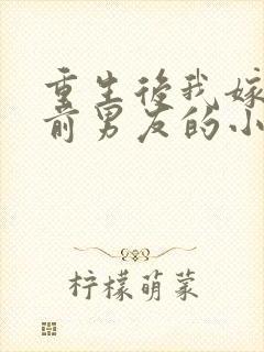 重生后我嫁给了前男友的小叔封面