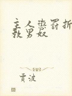 主人惩罚折磨调教男奴封面