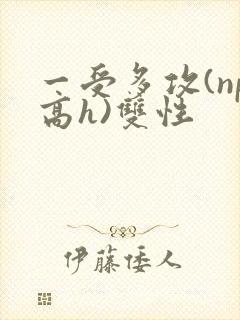 一受多攻(np高h)双性