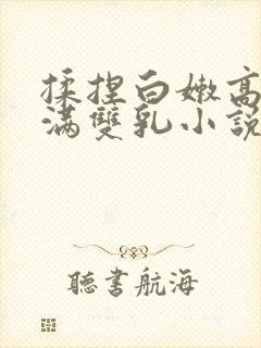 揉捏白嫩高耸饱满双乳小说封面