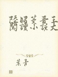 陆昭菱晋王免费阅读小说大结局