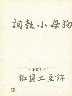 调教小母狗骚货