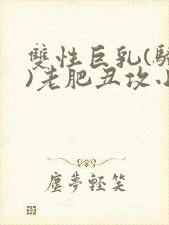 双性巨乳(骚受)老肥丑攻小说