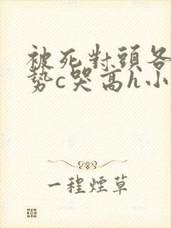 被死对头各种姿势c哭高h小说封面