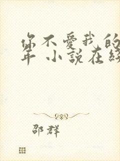 你不爱我的那些年 小说在线阅读封面