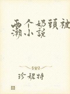 两个奶头被捏高潮小说封面