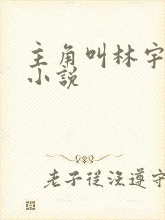 主角叫林宇都市小说封面