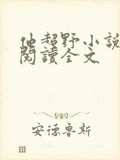 他超野小说免费阅读全文