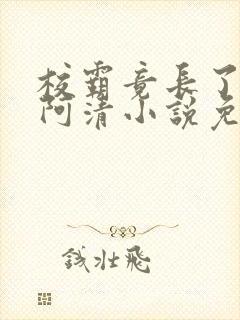 校霸竟长了个批阿清小说免费阅读最