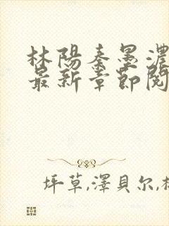 林阳秦墨浓免费最新章节阅读