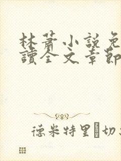 林萧小说免费阅读全文章节