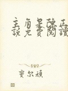 主角是陈正的小说免费阅读封面