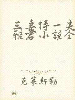 三妻侍一夫柔佳雅君小说全文阅读