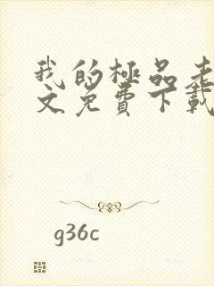 我的极品老婆全文免费下载