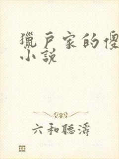 猎户家的傻媳妇小说