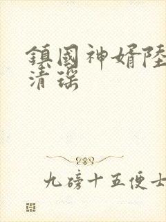 镇国神婿陆尘李清瑶